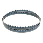 TRAČNA ŽAGA ZA HLODOVINO BBS 810 SMART_400V